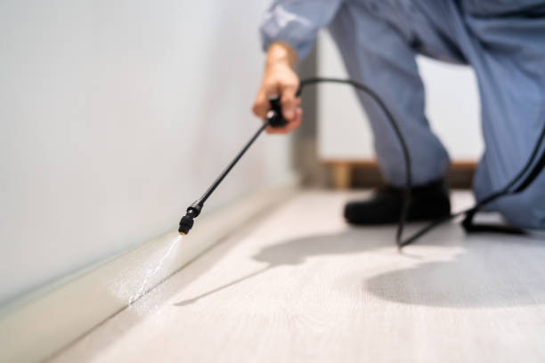 Licensed Wasp Removal service in Fitzgerald, GA - Show Me Pest Control