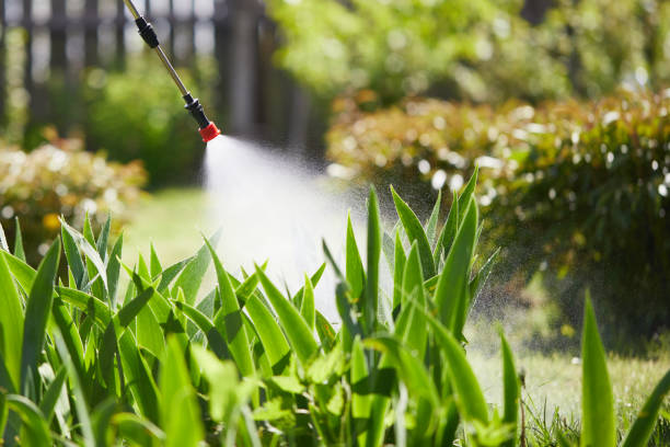 24/7 Emergency Wasp Removal experts in Fitzgerald, GA