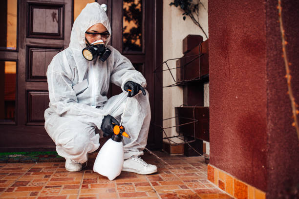 Reliable Wasp Removal contractor in Fitzgerald, GA by Show Me Pest Control