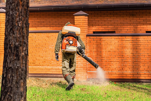 Top rated local Wasp Removal specialists in Fitzgerald, GA